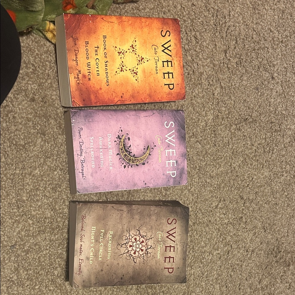 Sweep Book Series Set